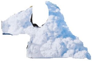 5-3-2013 10-11-27 PM