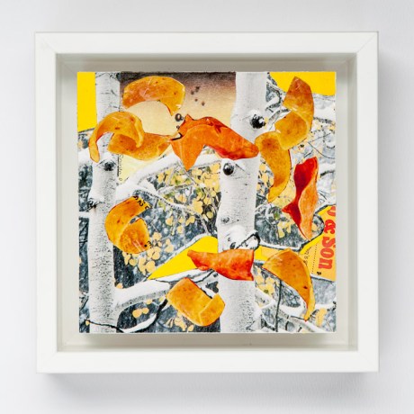 Day Twelve/Image Twelve