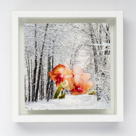 Day Seventeen/Image Seventeen