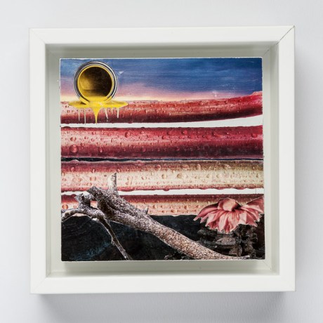 Day Thirty-Five/ Image Thirty-Five