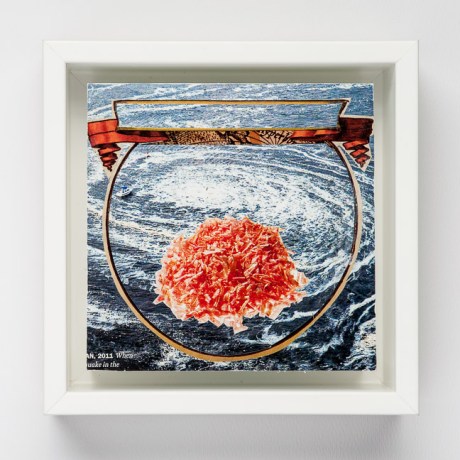 Day Thirty-Nine/Image Thirty-Nine