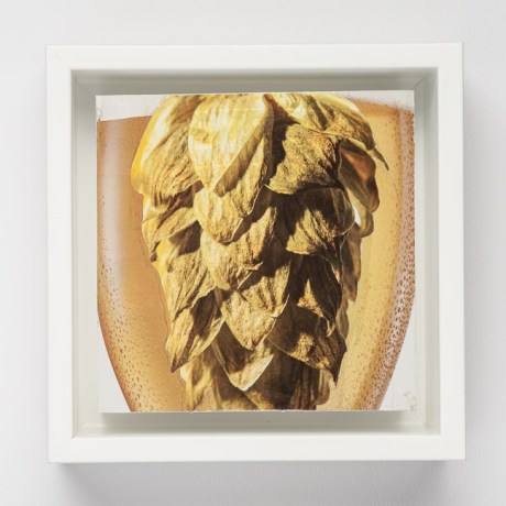 Day Forty-Seven/Image Forty-Seven