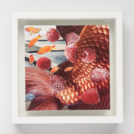 Day Fifty-Two/Image Fifty-Two