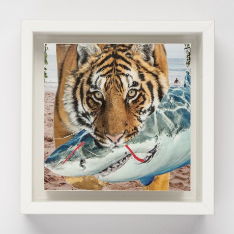 Day Fifty-Five/Image Fifty-Five