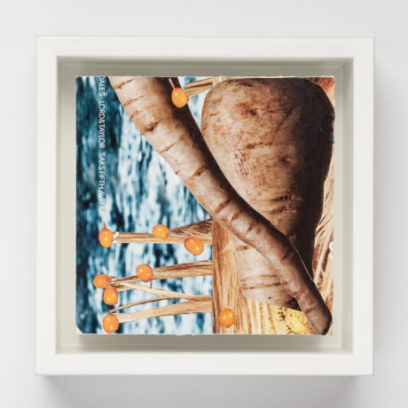 Day Fifty-Six/Image Fifty-Six